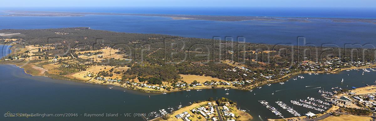Peter Bellingham Photography Raymond Island - VIC (PBH4 00 11532)